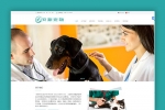 A737青色宠物医院网站织梦dede模板源码[带手机版数据同步]