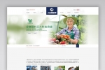A797 白色化工化学网站织梦dede模板源码[自适应手机版]