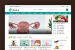 K228 帝国CMS《养生健康》模板 养生网站源码模板 健康模板 养生资讯 优化版