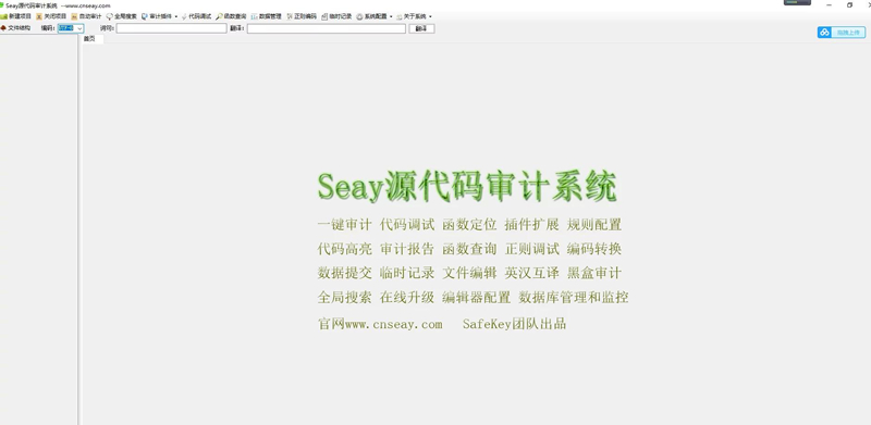 【去马修复版】SEAY代码审计系统源码 独家去除后门/排门