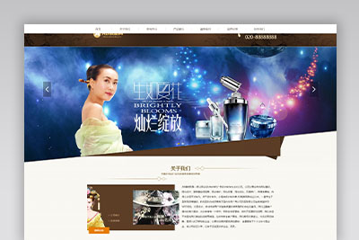 A1012 棕色化妆品网站织梦dede模板源码[自适应手机版]