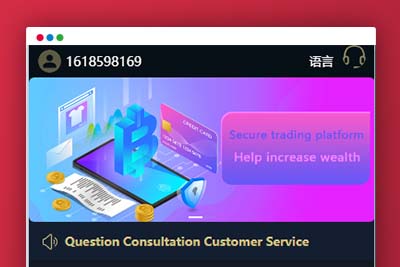 C251 四语言微交易完整无差