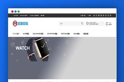 C255 wordpress主题_购物商城主题源码电子商务外贸网站汉化版