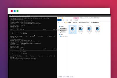C276【技术分享】SG11详细解密视频教学