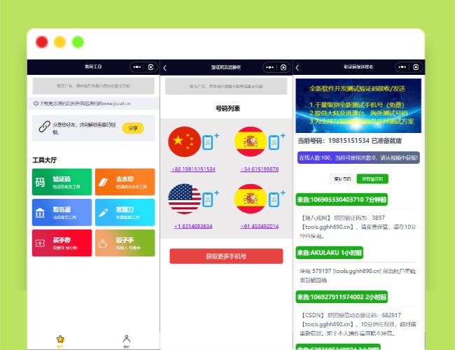 A1302全球手机验证码发放+短视频去水印等组合微信小程序源码下载