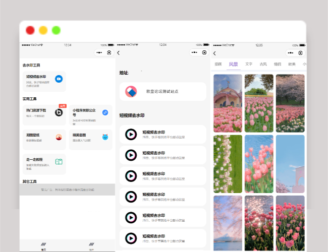 A1450多接口带头像挂件制作短视频去水印微信小程序源码下载