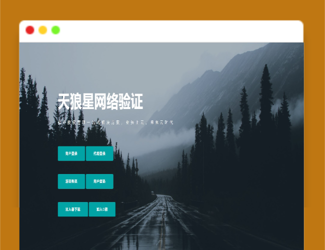 A1473天狼星网络验证系统源码