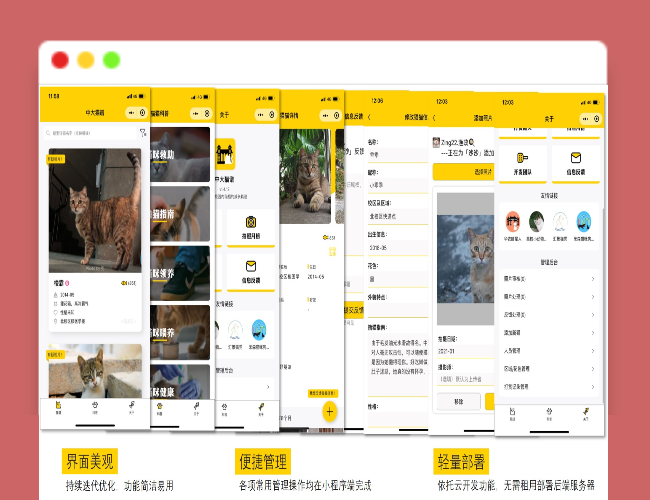 A1683校园流浪猫信息记录和分享的小程序源码
